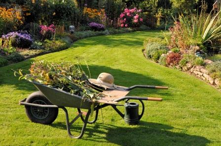 On Garden Time: Signs of the Seasons Image